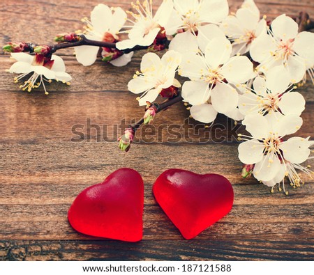 Flowering branch with white delicate flowers on wooden surface. Declaration of love, spring. Wedding card, Valentine's Day greeting. Wedding bouquet, background. Empty wooden tabletop. Space for text