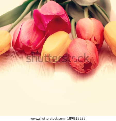 Colorful spring flowers bouquet tulips isolated on white background. Mother\'s Day holiday, birthday, Easter for card