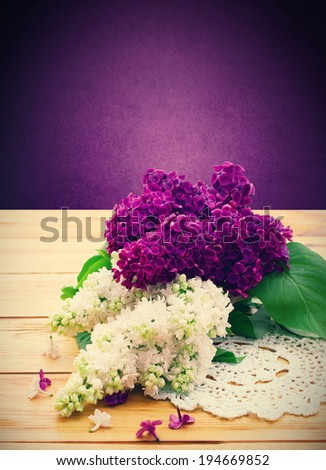 Flower lilac branch. White and purple lilac. Beautiful bouquet of colorful spring flowers. Template for greeting cards, mother\'s day, valentine, birthday celebration.