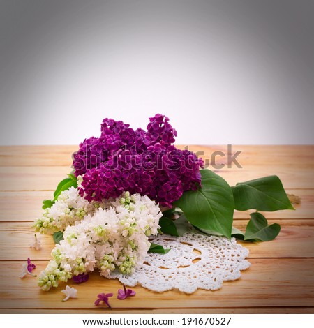 Flower lilac branch. White and purple lilac. Beautiful bouquet of colorful spring flowers. Template for greeting cards, mother\'s day, valentine, birthday celebration.
