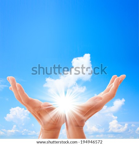 Man's hands reach for sky. Prayer at dawn. Sunny landscape, beautiful sky.