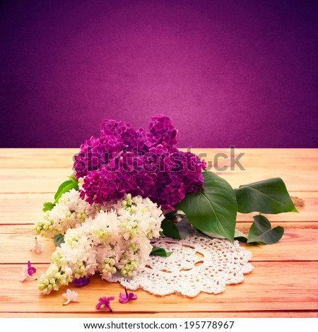 Flower lilac branch . Flowers white and purple lilac. Beautiful bouquet of colorful spring flower. Template for greeting cards, mother\'s day, valentine, birthday celebration.