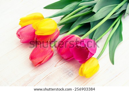 Bouquet of spring flower tulip on white wooden background
