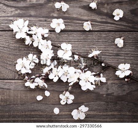Flowering branch with white delicate flowers on wooden surface. Declaration of love, spring. Wedding card, Valentine\'s Day greeting. Wedding rings. Wedding bouquet, background.