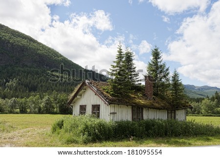 Old house with spruces growing trough the roof. Shot from the southern part of Norway