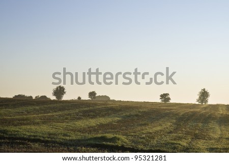 Sunrise over a field with trees in the background.