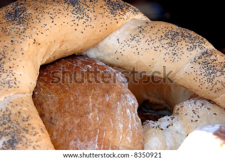 Bread, isolated food from bakery for your vitality