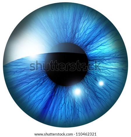 Human Iris