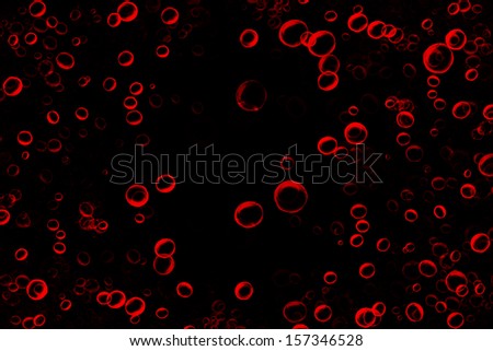 Red blood cells on a dark black background