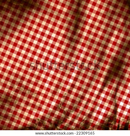 Red picnic fabric with straight lines in it