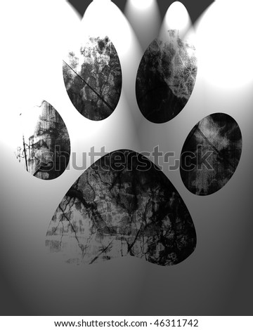 grunge paw print on a white background