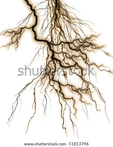 Plant Roots On A Solid White Background Stock Photo 51813796 : Shutterstock