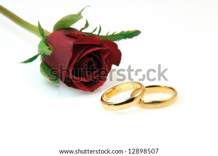 red rose and wedding band backgrounds 