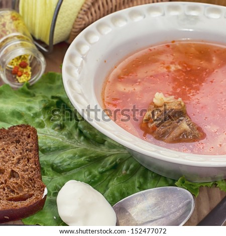 Russian  national meal from soup of meat
