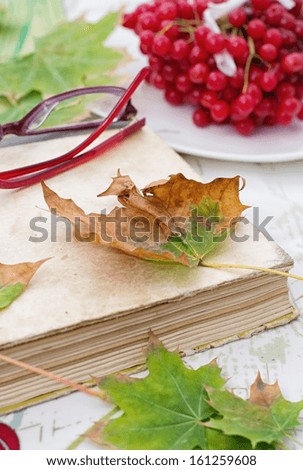 book spangled leaves in the garden