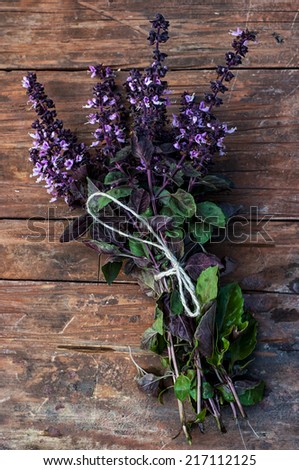 fresh,blooming bunches of herbs and spices Basil