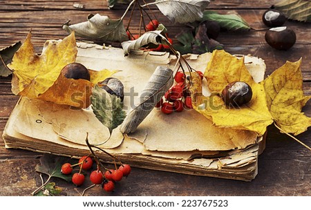 autumn fallen leaves on wooden table