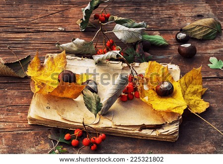 autumn fallen leaves on wooden table