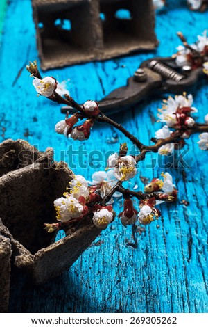 garden tools amid flowering branches spring apricot.Selective focus