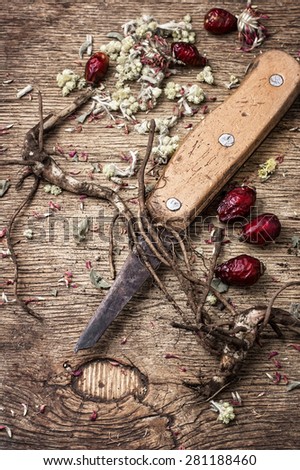 medicinal herbs and roots in dried form,as means of alternative medicine.