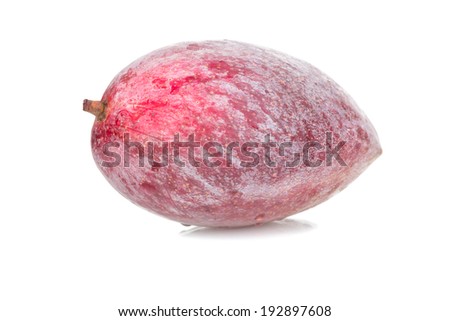 Red mango fruit on white background.