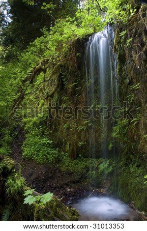 A small quaint waterfall found near Silver Falls State Park in Oregon