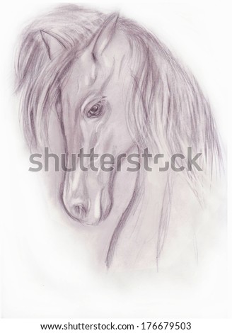 pencil drawing of horse