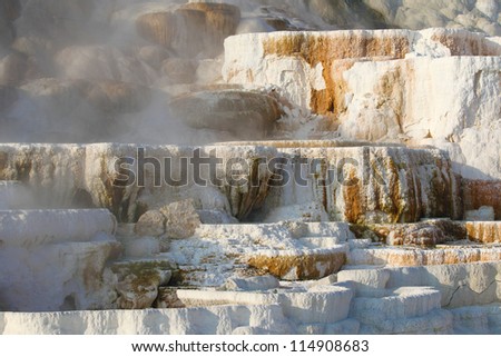 Travertine terraces  at Mammoth Hot Springs, Yellowstone National Park, Wyoming, USA