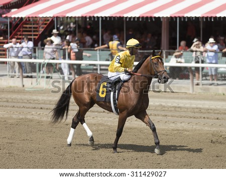 SARATOGA SPRINGS, NY - August 29, 2015: #6 Attraction ridden by Kendrick Carmouche before the 2nd race on Travers Day at Historic Saratoga Race Course on August 29, 2015 Saratoga Springs, New York