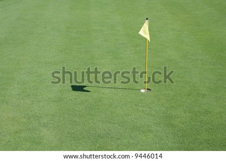 Flag and Pin on Golf Putting Green