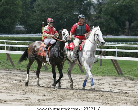 Racing Thoroughbred Race Horses