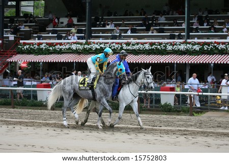 SARATOGA SPRINGS - August 3: Thorn Song in the post parade with Jockey Allan Garcia in the saddle for the running of \
