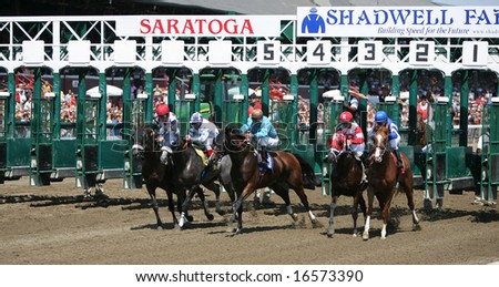 SARATOGA SPRINGS - August 17: The Number One and Three Horse are back moving at the start of the Third race August 17, 2008 in Saratoga Springs, NY.