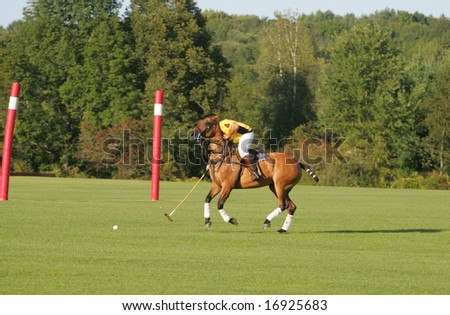 SARATOGA SPRINGS - August 27: Unidentified Polo Player attempting to score during match at Saratoga Polo Club August 27, 2008 in Saratoga Springs, NY.