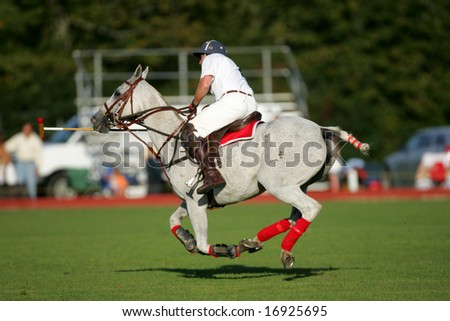 SARATOGA SPRINGS - August 27: Unidentified Polo Player in fast Action during match at Saratoga Polo Club August 27, 2008 in Saratoga Springs, NY.