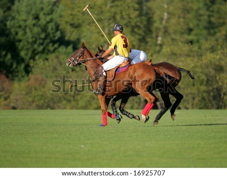SARATOGA SPRINGS - August 27: Unidentified Polo Players in fast Action during match at Saratoga Polo Club August 27, 2008 in Saratoga Springs, NY.