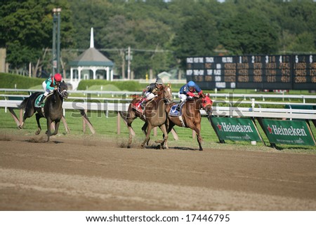 SARATOGA SPRINGS - August 22: Ginger Punch Battles Lemon Drop Mom  in the Stretch Run of the Personal Ensign Grade I Stakes Race August 22, 2008 in Saratoga Springs, NY.