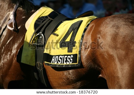 SARATOGA SPRINGS - September 1: Closeup of  Saddle Cloth on Hostess in the Winners Circle after the Grade III Glens Falls Stakes on September 1, 2008 in Saratoga Springs, NY
