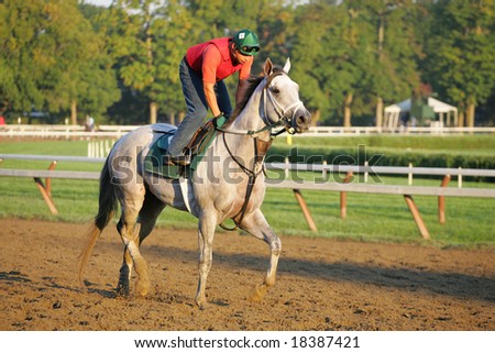 SARATOGA SPRINGS - August 23:  A Beautiful Morning for Workouts on the Main Track Travers Day August 23, 2008 in Saratoga Springs, NY.