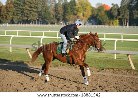 SARATOGA SPRINGS - October 12:  A Single Rider in the Morning Workouts at the Oklahoma Training Track on October 12, 2008 in Saratoga Springs, NY