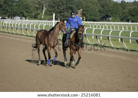 SARATOGA SPRINGS - August 12: An Unknown Rider Works a Second Horse in the Morning on the Oklohoma Training Track on August 12, 2006 in Saratoga Springs, NY.