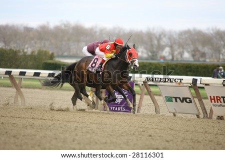OZONE PARK, NY - APRIL 4: Giant Moon with Edgar Prado aboard wins the Excelsior Handicap at Aqueduct Race Track- April 4, 2008 in Ozone Park, NY.