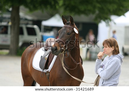 SARATOGA SPRINGS - MAY 23: An unknown handler and Ruby Tooshoos watch the competition in the Open Division at the Dressage May 23, 2009 in Saratoga Springs, NY.