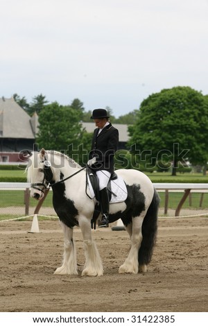SARATOGA SPRINGS - MAY 23: Beth Hyman competes on ToyBoy in Adult Amateur Division at the Dressage May 23, 2009 in Saratoga Springs, NY.