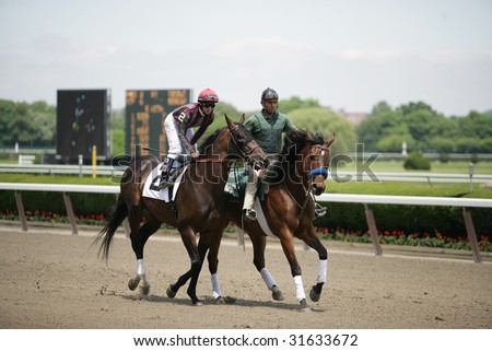 ELMONT - JUNE 6: Dreamed day with Alan Garcia aboard in the post parade for the Second race at Belmont Park on Belmont Stakes Day - June 6, 2009 in Elmont, NY.