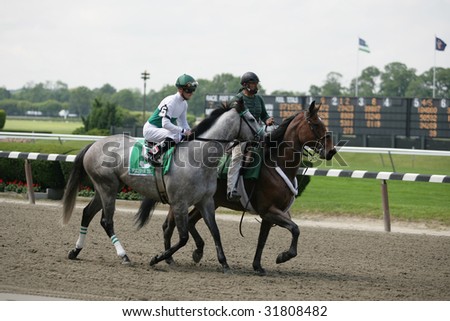 ELMONT - JUNE 6: Forever Together with Julien Leparoux aboard in the Post Parade for The Just a Game Grade I Stakes at Belmont Park on Belmont Stakes Day - June 6, 2009 in Elmont, NY.