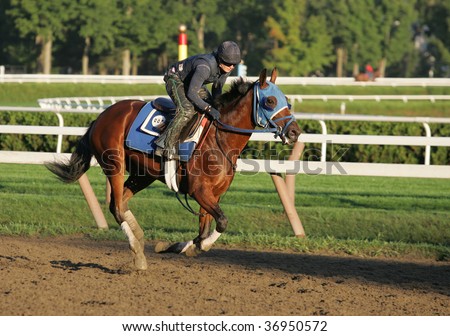 SARATOGA SPRINGS, NY- SEPT 7: A rider works a horse for trainer J. Bond on the last day of workouts for the season on the main track at Saratoga Race Track, September 7, 2009 in Saratoga Springs, NY.
