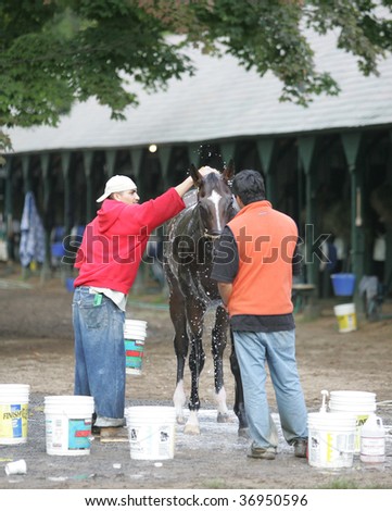 SARATOGA SPRINGS, NY- SEPT 7: Groomers bath a horse on the last day of workouts for the season on the main track at Saratoga Race Track, September 7, 2009 in Saratoga Springs, NY.