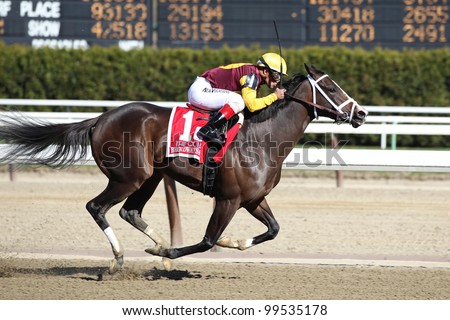 OZONE PARK, NY - APRIL 7: Broadway\'s Alibi with Javier Castellano wins the 2012 Comley Grade III Stakes at Aqueduct on April 7, 2012 in Ozone Park, New York.