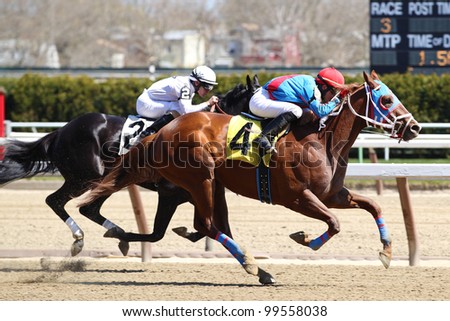 OZONE PARK, NY - APRIL 7: Guyana Star Dweej (#4) S. Camacho, jr. battles Desert Storm to win the 3rd race at Aqueduct on April 7, 2012 in Ozone Park, New York.
